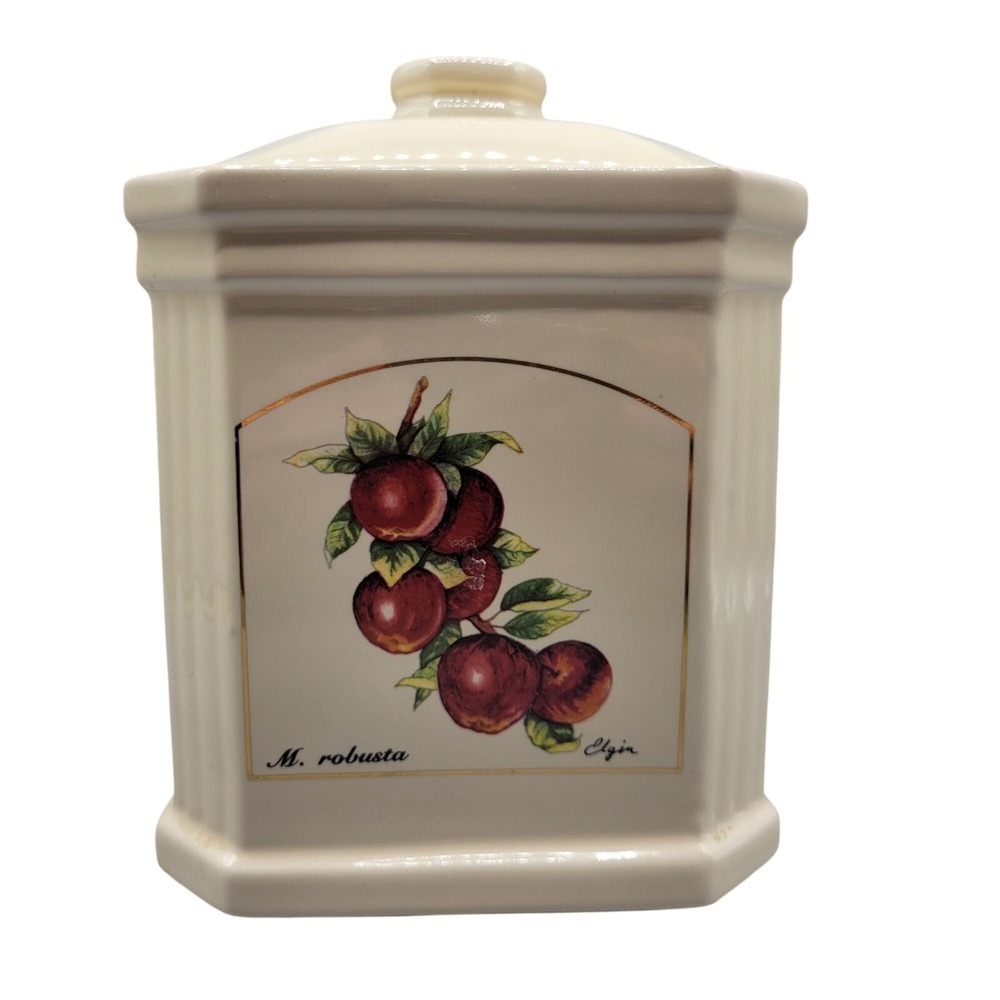 Vtg Elgin Plum Porcelain Ceramic Canister Jar With Lid Replacement M. Robusta